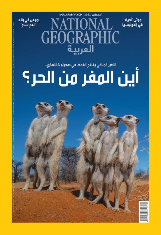 مجلة ناشنوال جرافيك