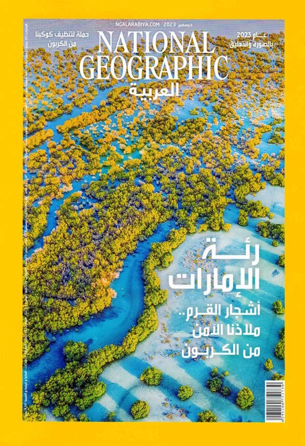 رئة الأمارات