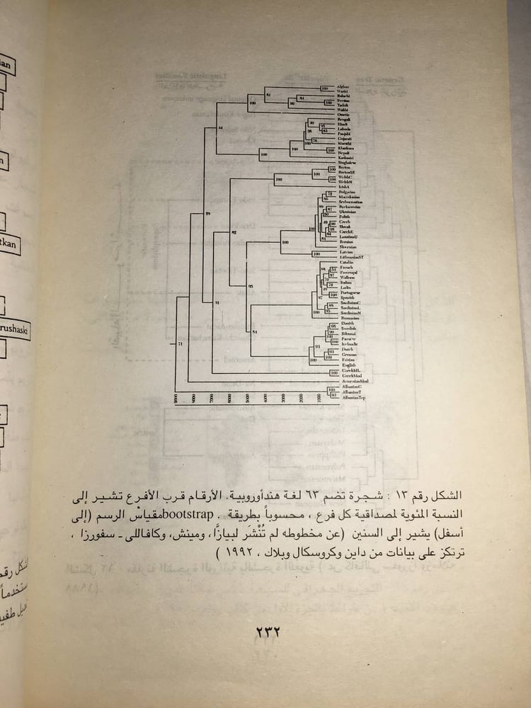 الجينات و الشعوب و اللغات_لويجي لوكا كافللي F5