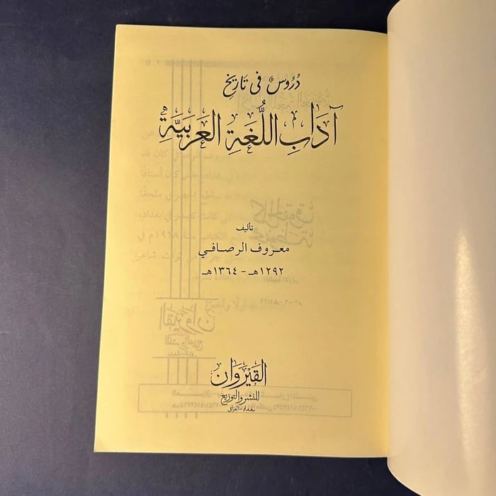 كتاب دروس في تاريخ أدب اللغة العربية-معروف الرصافي