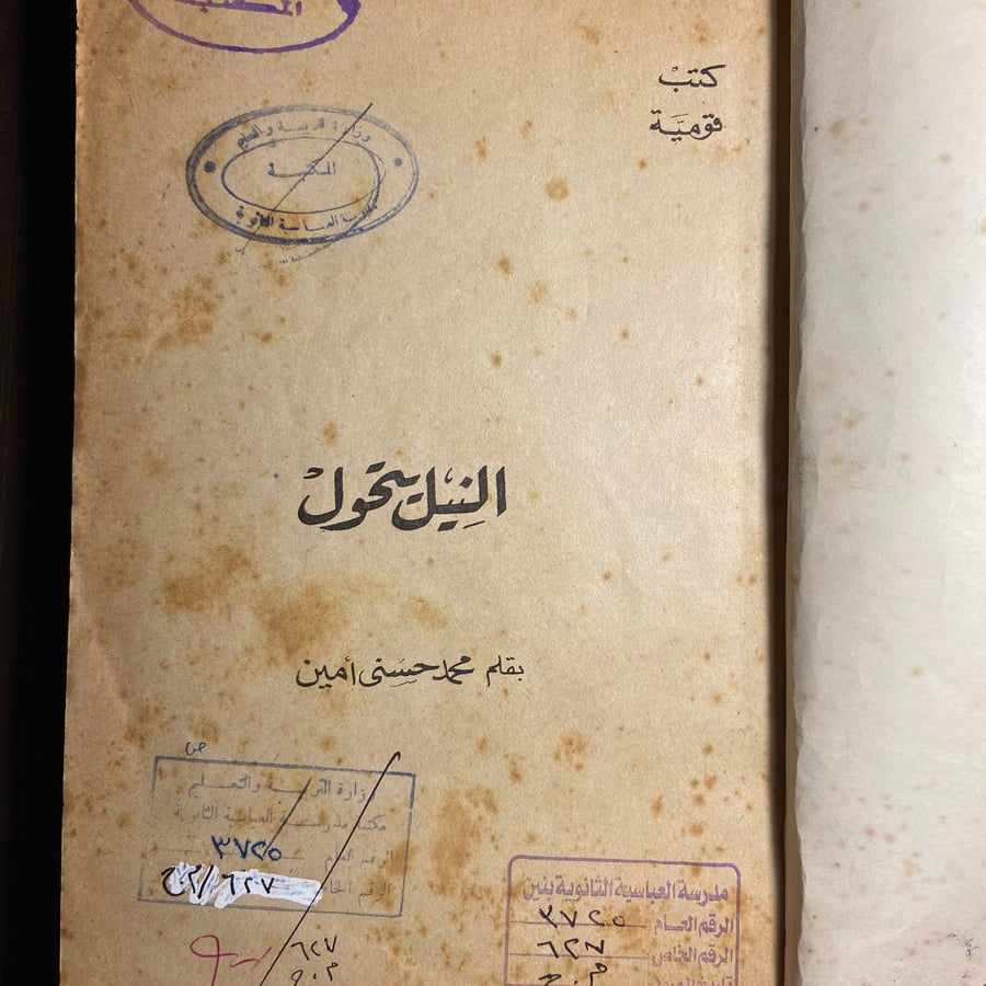 النيل يتحول-محمد حسني