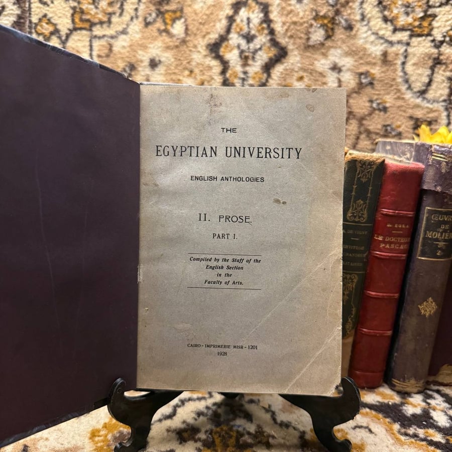 THE EGYPTIAN UNIVERSITY (L9)