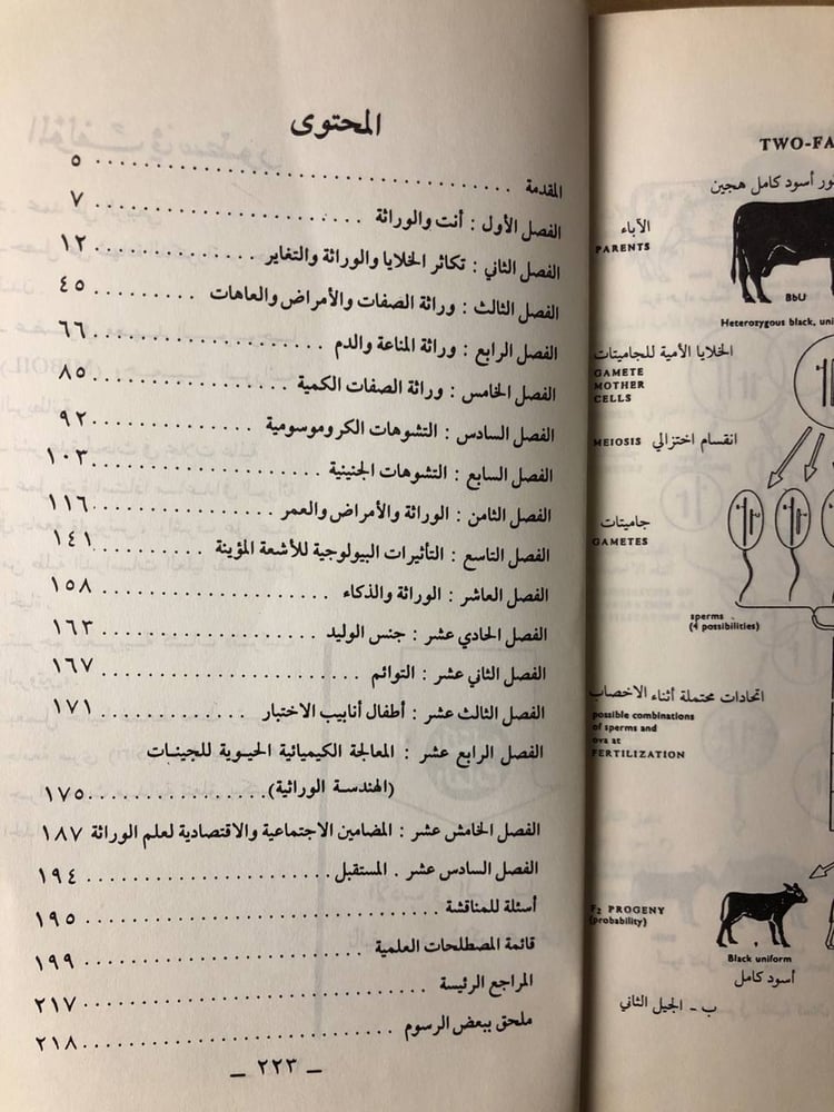 الوراثة والإنسان -محمد الربيعي