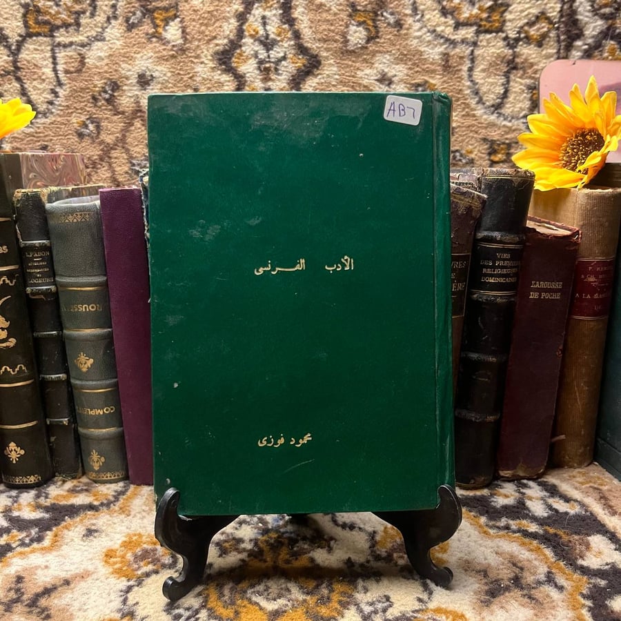 الأدب-الفرنسي-محمود-فوزي