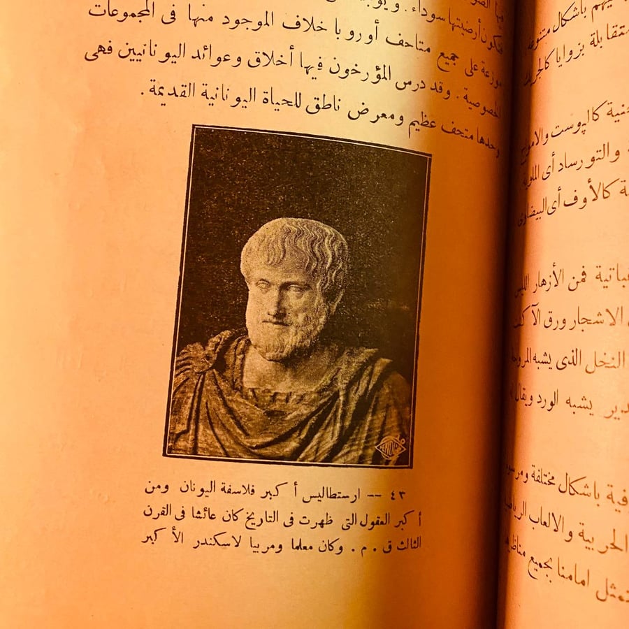الفنون الجميلة وتاريخ الامم القديمة - محمود فؤاد