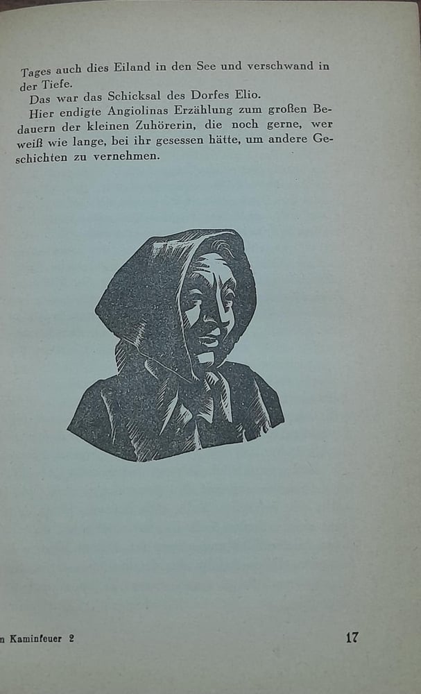 amkaminfeuer der tessiner  (W13)