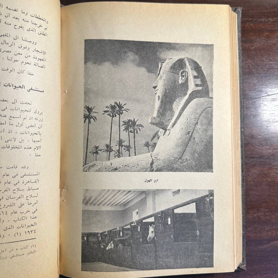 صور من مصر-اثيل مانين-ms