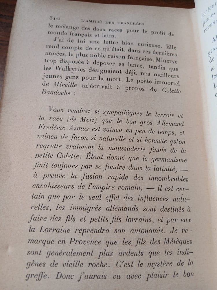 (E13)lame francaise et la guerre lamitie des tranchees