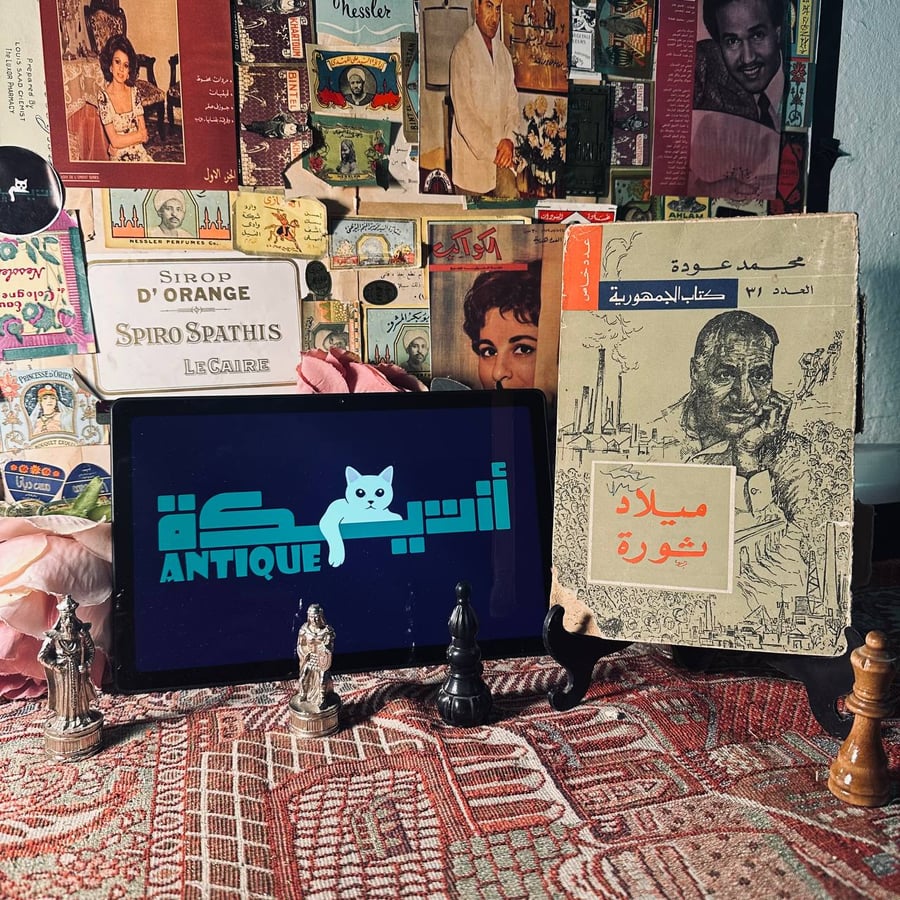 ميلاد ثورة - محمد عودة