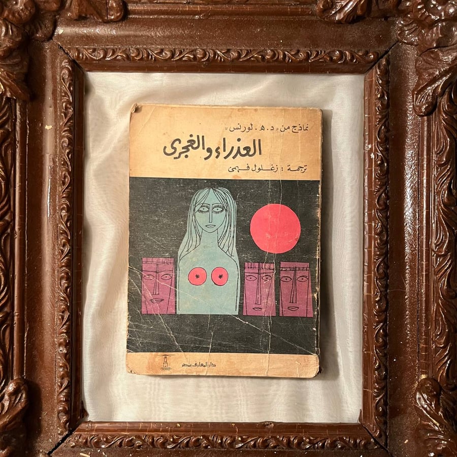 العذارء-والغجري-د-هـ-لورنس-دار-المعارف.jpg