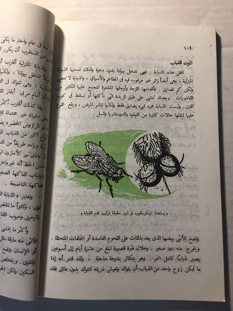 كل شئ عن دنيا الحشرات- فروديناند (O5)