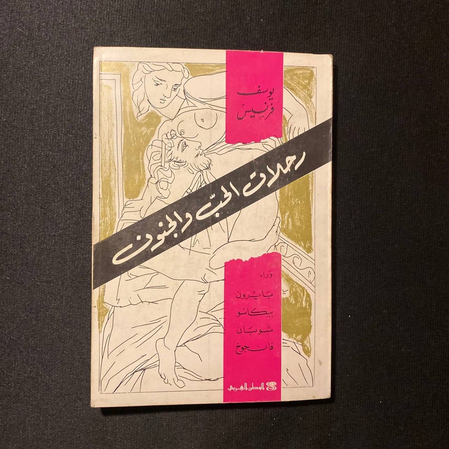 رحلات الحب والجنون - يوسف فرنسيس