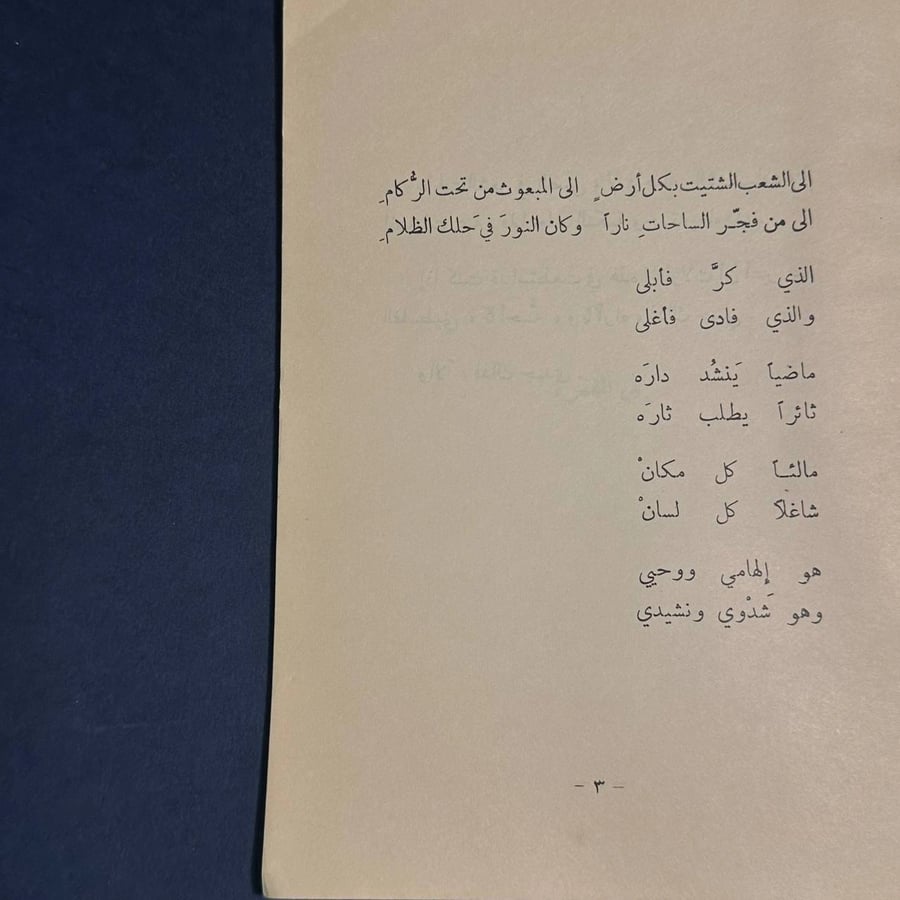 في غمرة النكبة - كامل الدجاني