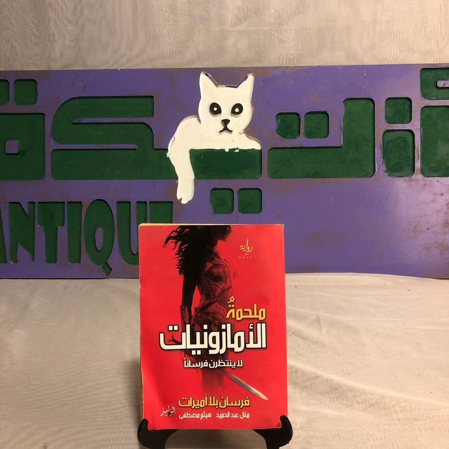 ملحمة الأمازونيات لا ينتظرون فرسانا -منال عبدالحميد -