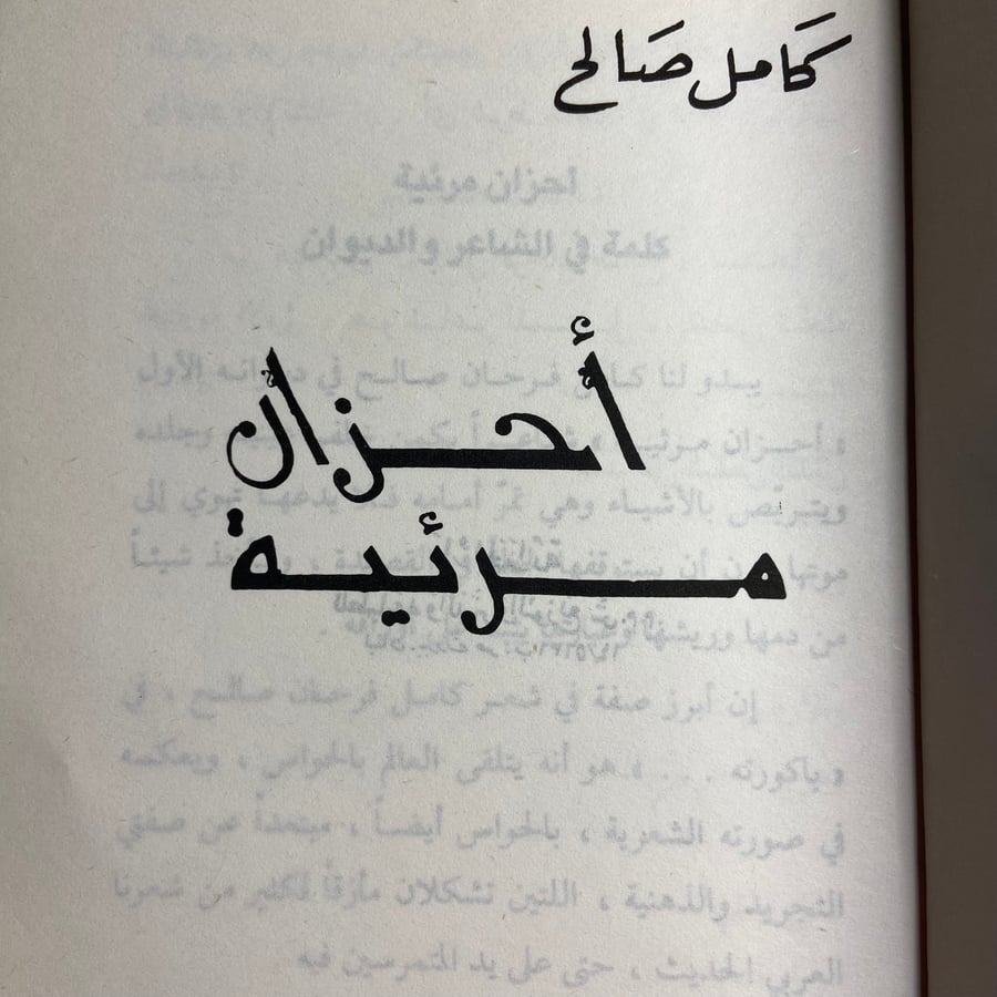 أحزان مرئية_كامل صالح
