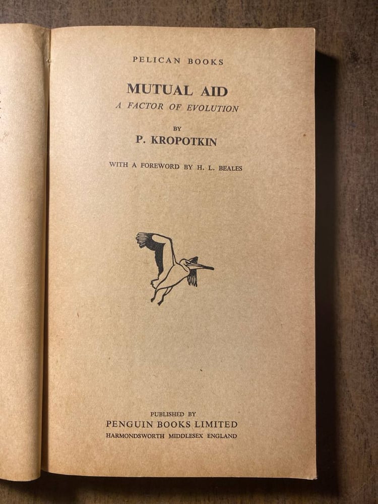 Mutual Aid - P. Kropotkin