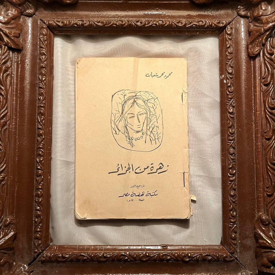 زهرة من الجزائر -محمود محمد شعبان