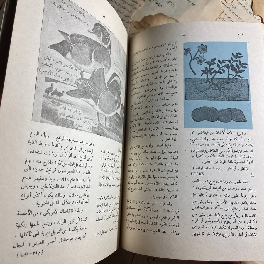الموسوعة الذهبية (من البحيرات العظمى إلى تاريخ )-O5