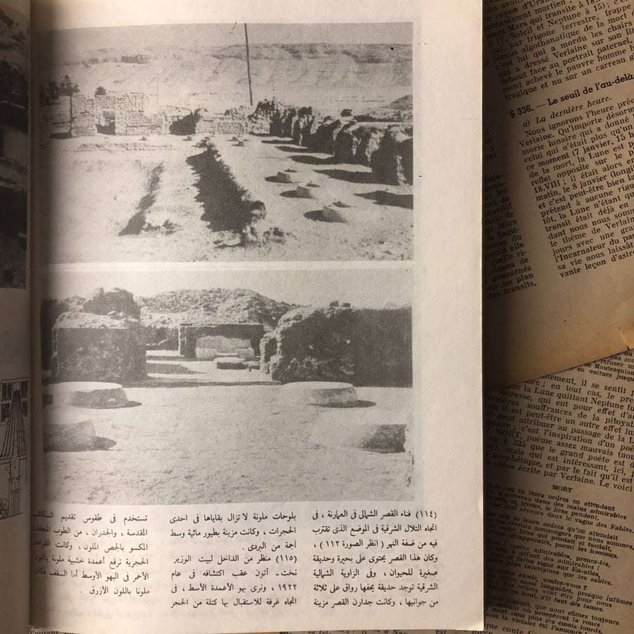 أخناتون - سيريل ألدريد
