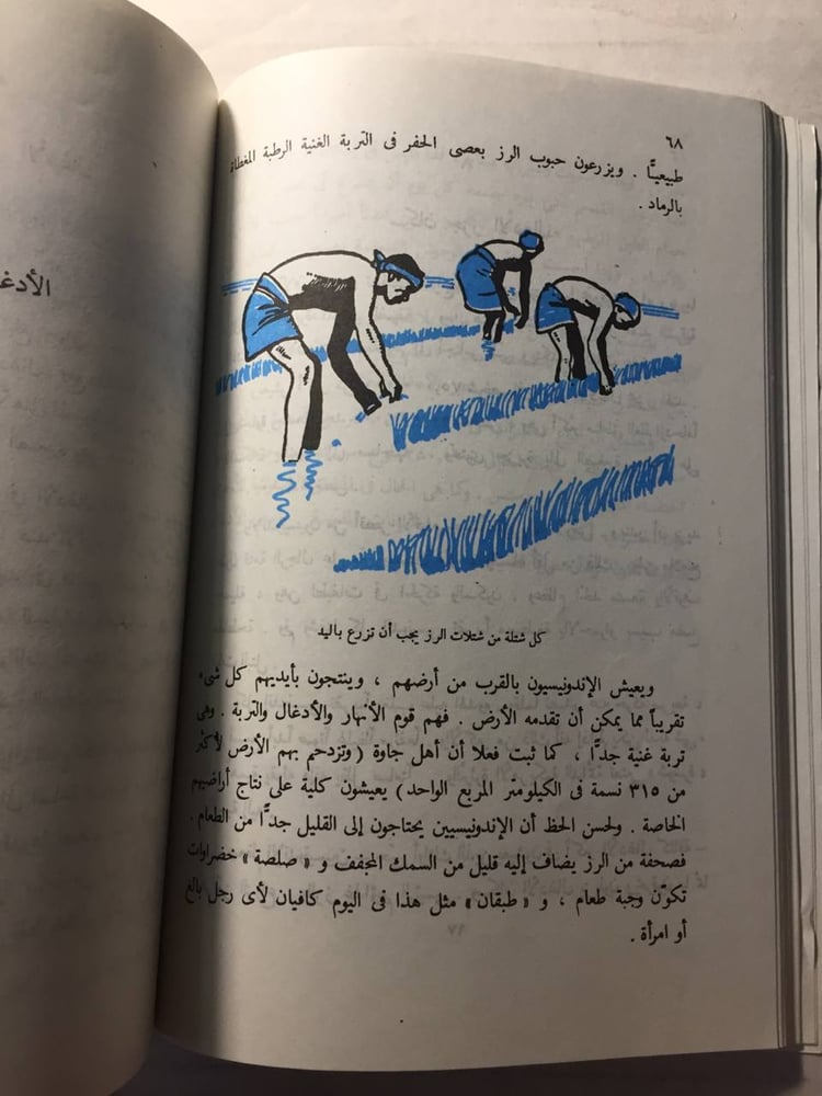 كل شئ عن الأدغال- ارمسترونج سبيري (O5)