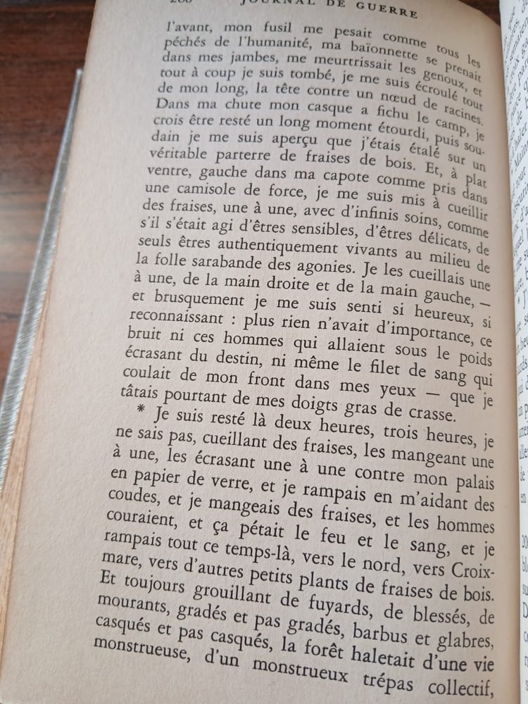 journal de guerre
