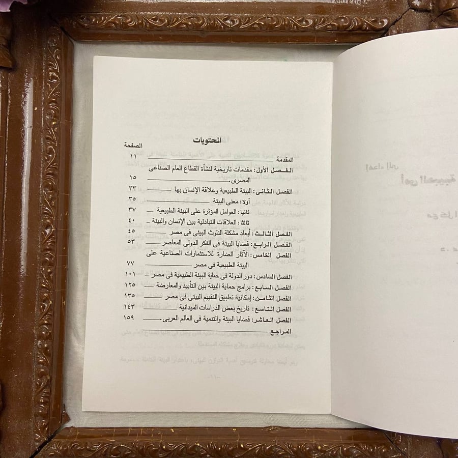 التلوث البيئى والتنمية - منى قاسم