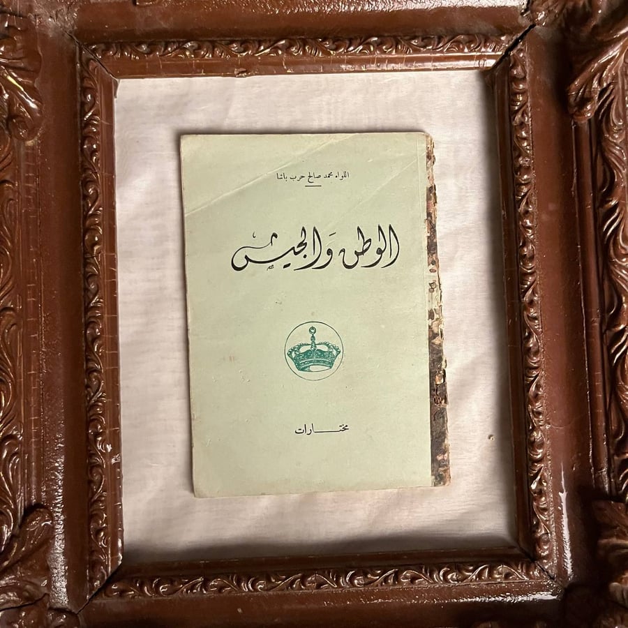 محمد صالح حرب باشا