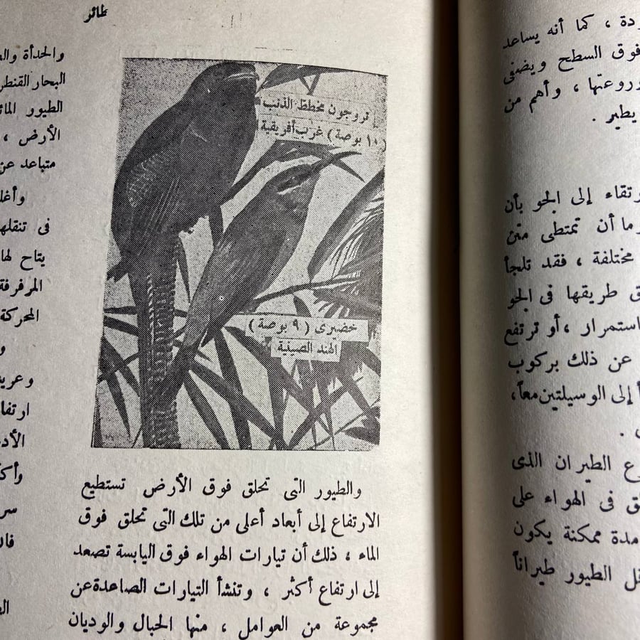 الموسوعة الذهبية (من ضفدعة المكسيك الى غطاس )-O5