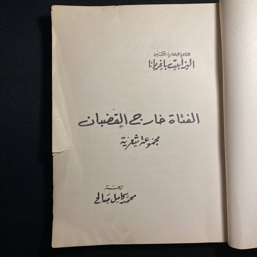الفتاة خارج القضبان - اليزابيت باغريانا
