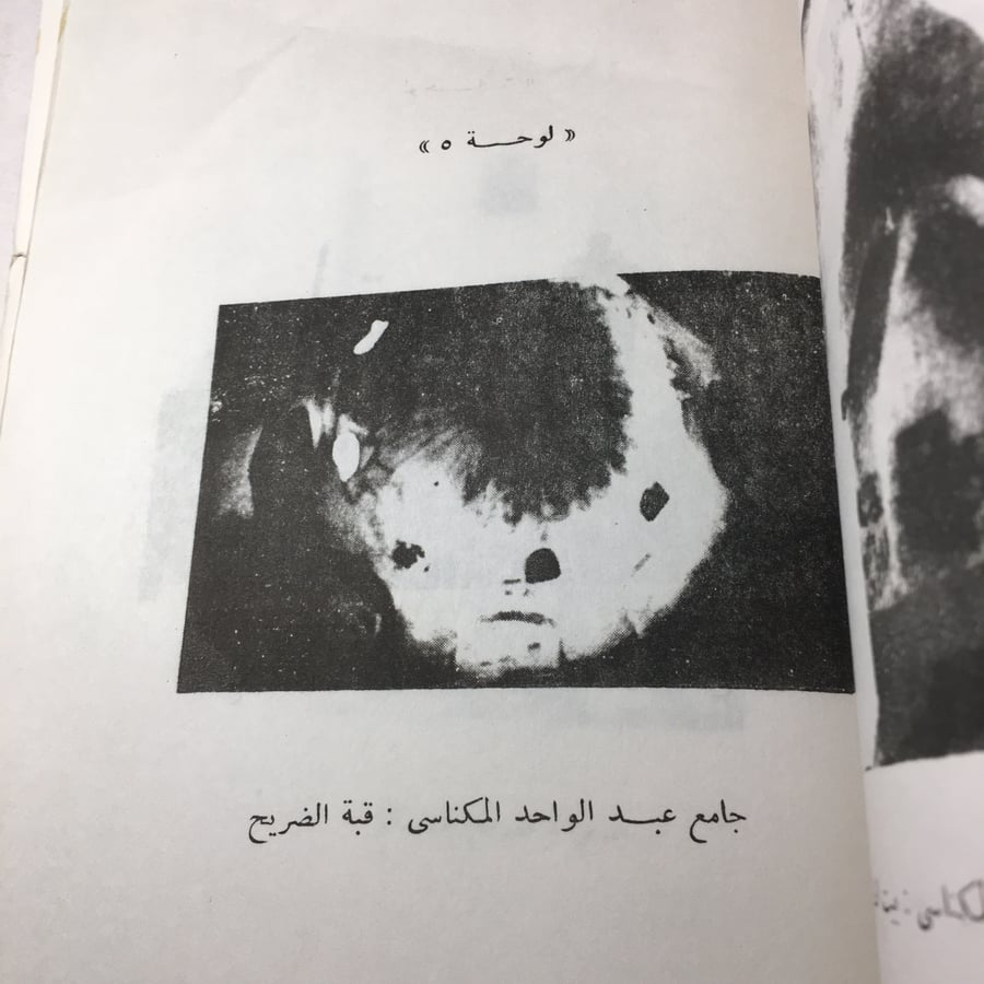 طرابلس الشام في التاريخ الاسلامي_السيد عبدالعزيز سالم -(M6)