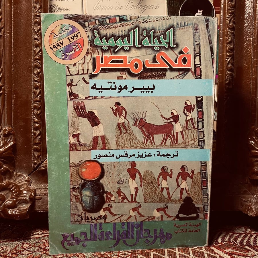 الحياة اليومية في مصر _ بيير مونتيه