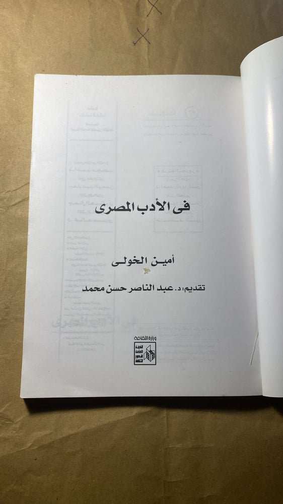 في الادب المصري _ امين الخولي