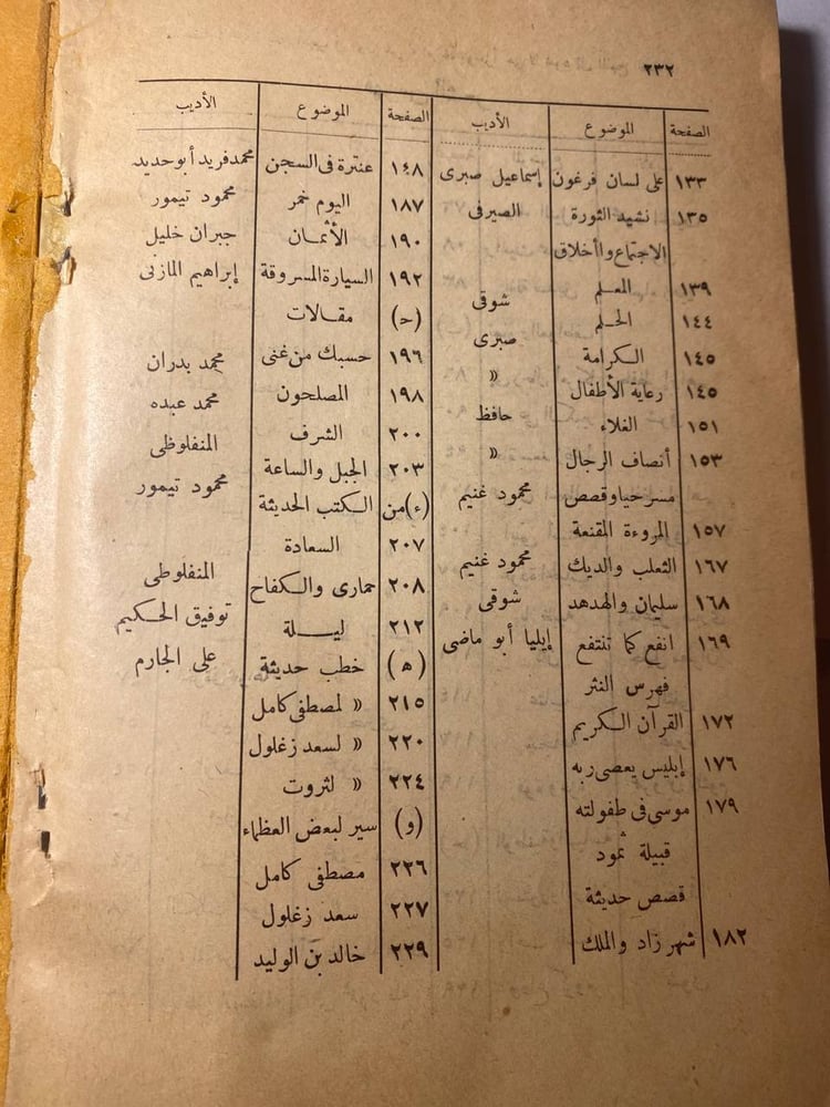 غلاف كتاب الادب الجديد – محمد شت