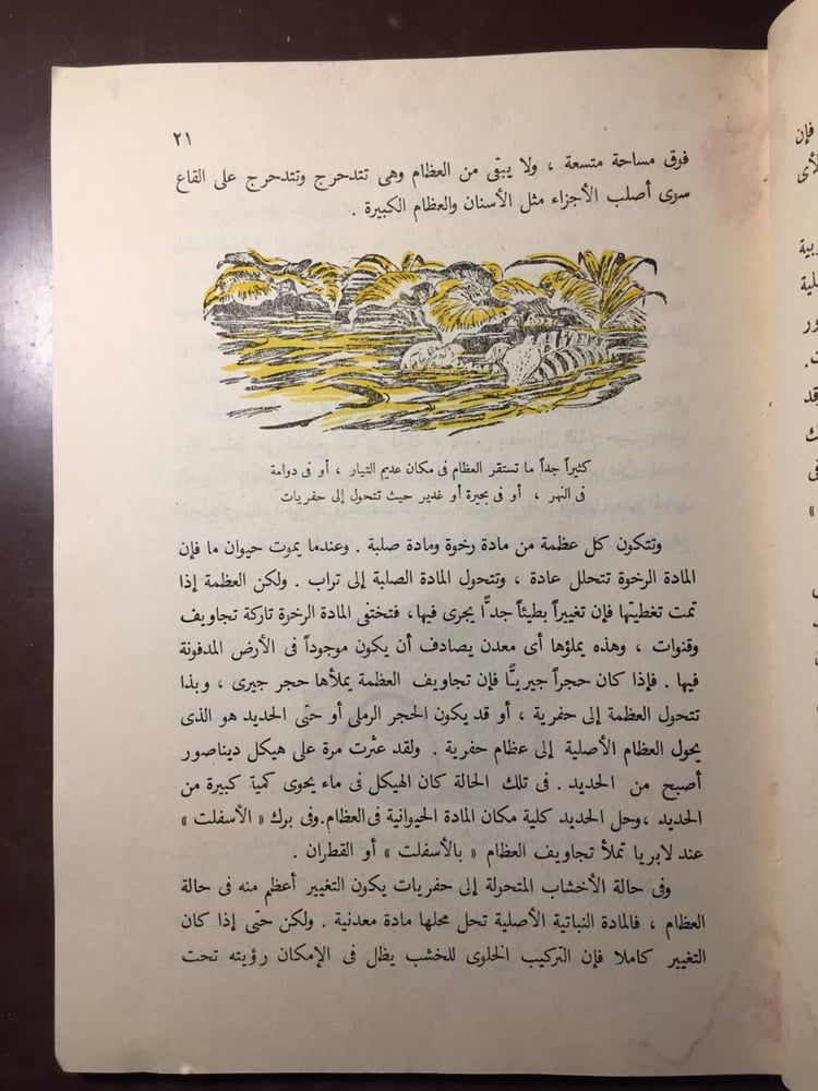 الوحوش الغربية في الماضي - روي تشابمان -MS