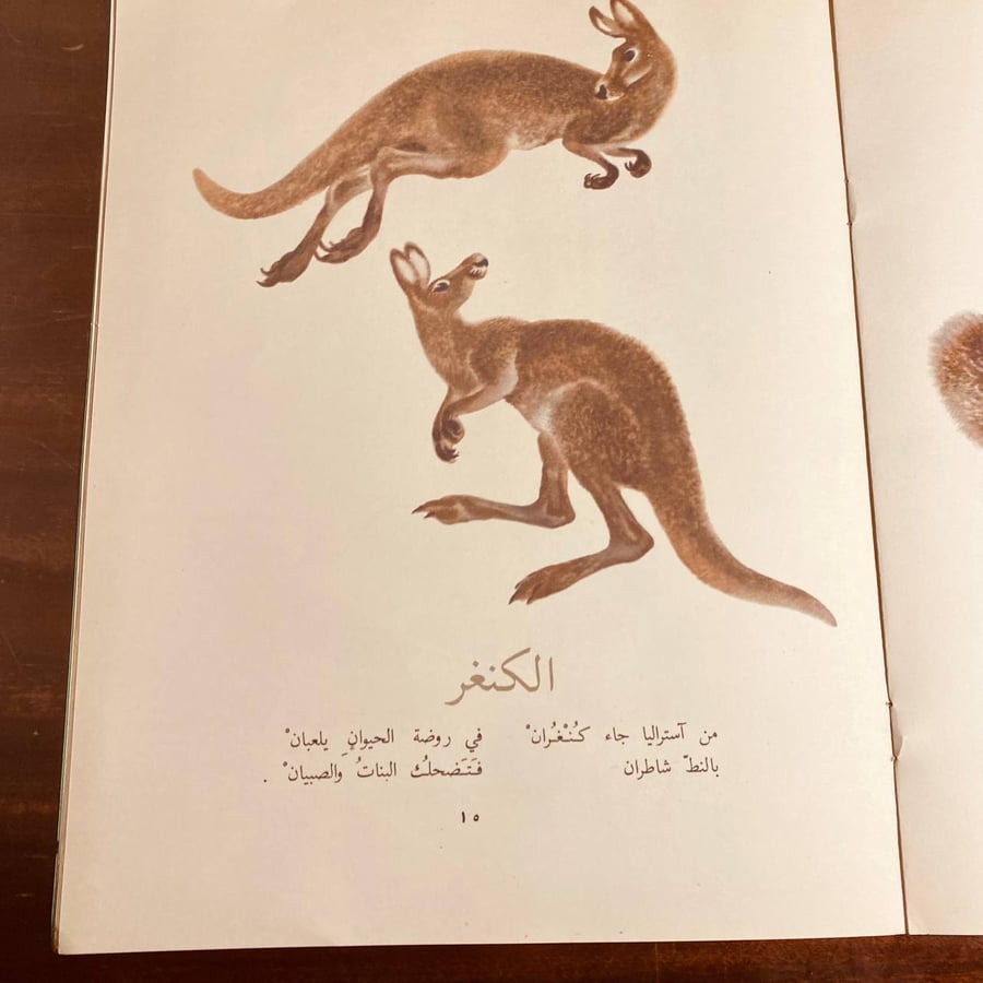 حيوان خلف الجدران -حيوان خلف الجدران -MS