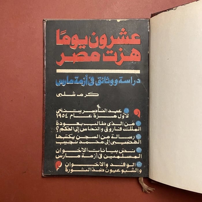 عشرون يوما هزت مصر-كرم شلبي