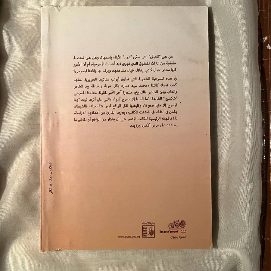أبناء الحبلى -محمد سيد عمار