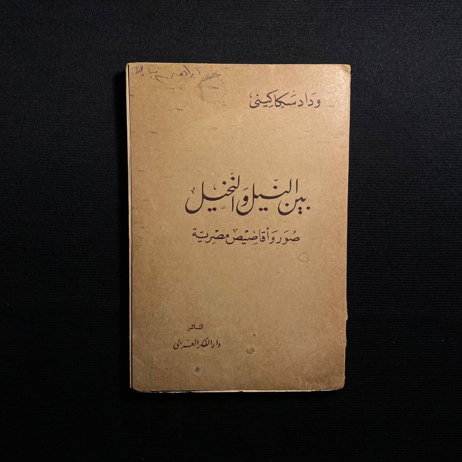 بين النيل والنخيل - وداد سكاكينى