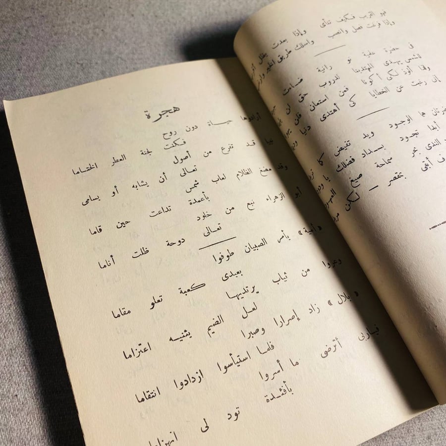 فى موكب الأيام - خليل الليثى