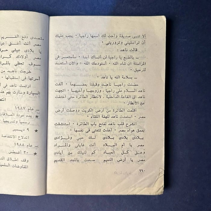 الغربة والوطن - إيناس محمد -
