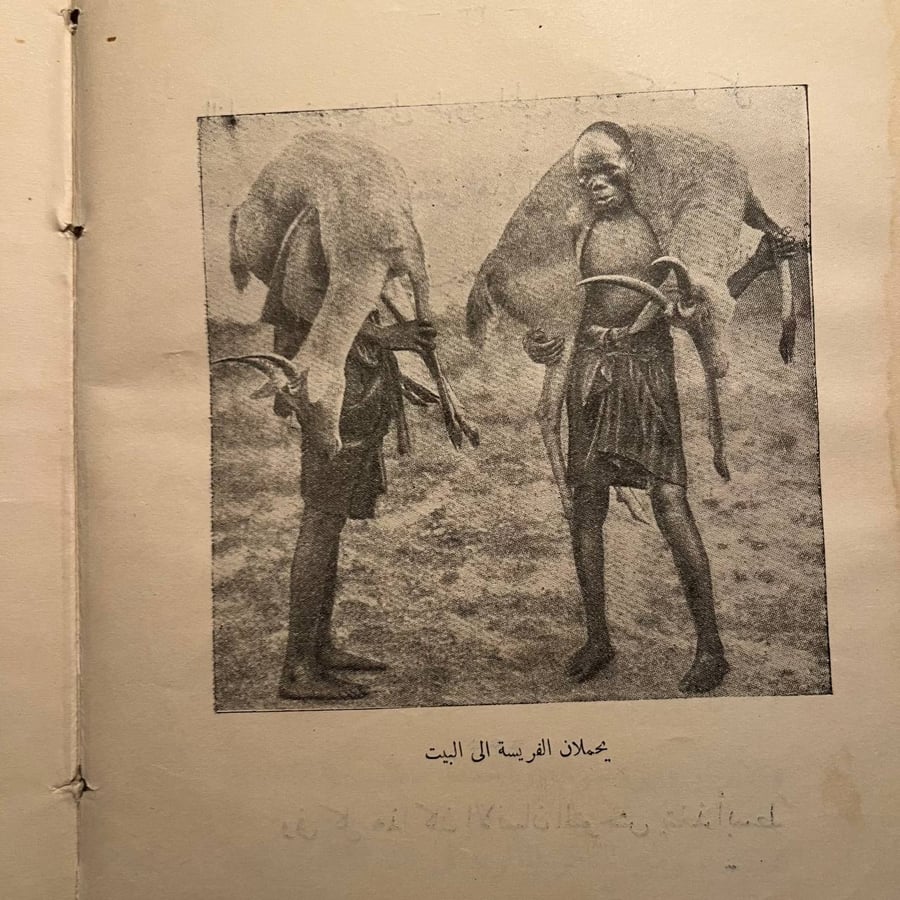 حكاية الطعام-مكتبة الاطفال الحديثة