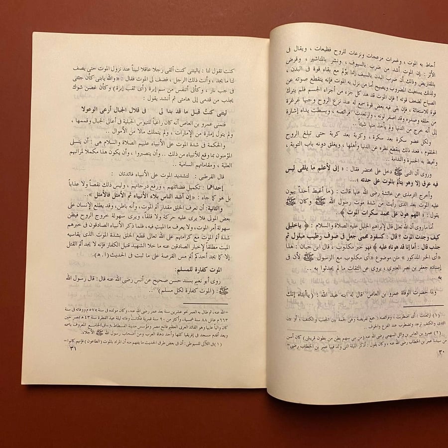 الحياة البرزخية-محمد عبدالظاهر