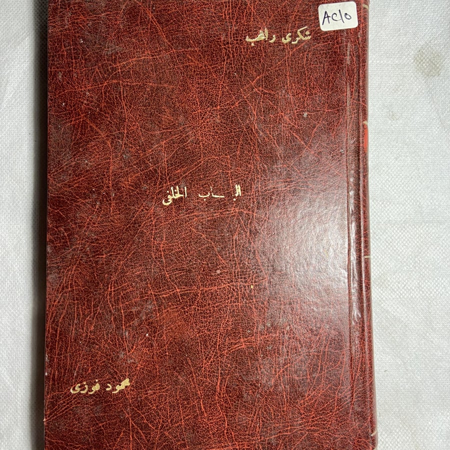 الباب الخلفي-شكري راغب-T12