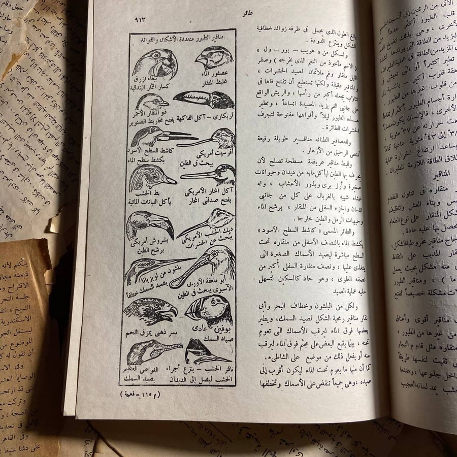 الموسوعة الذهبية (من ضفدعة المكسيك الى غطاس )-O5