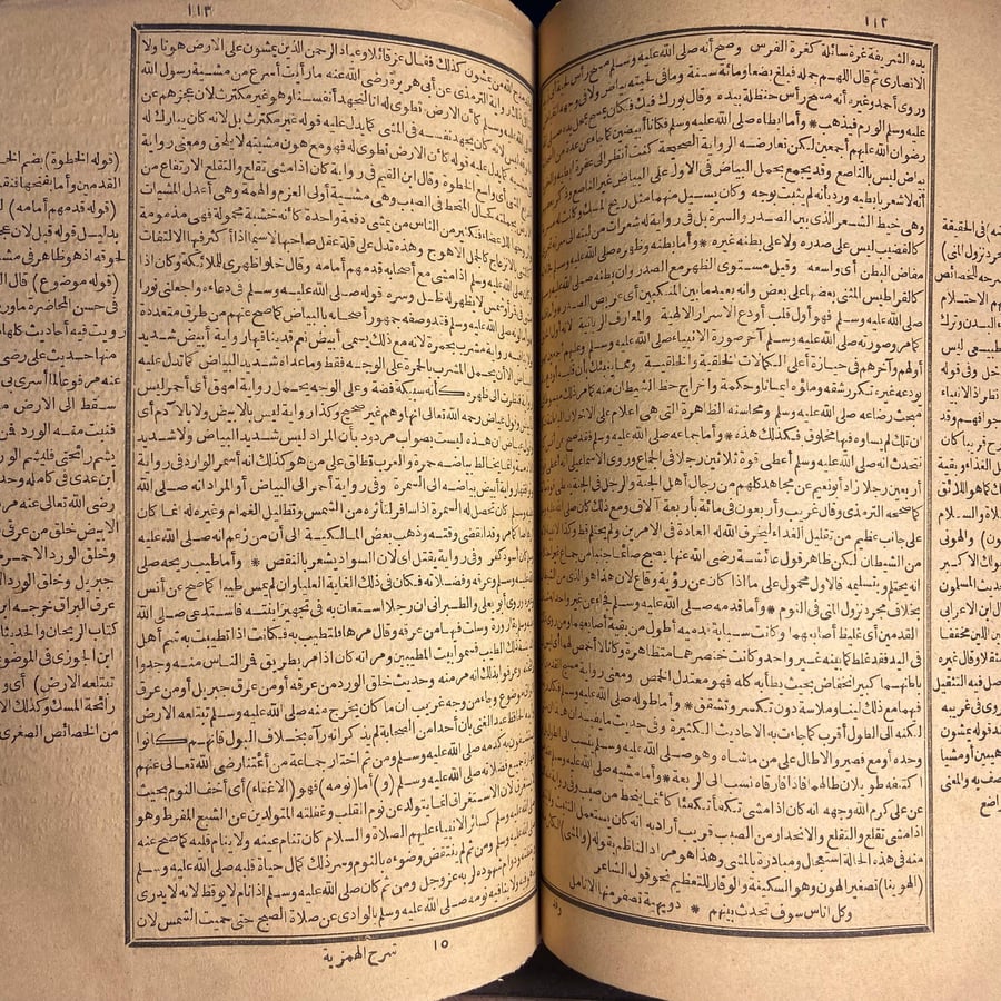 شرح الهمزية في مدح خير البرية_شرف الدين أبي عبدالله(L9)