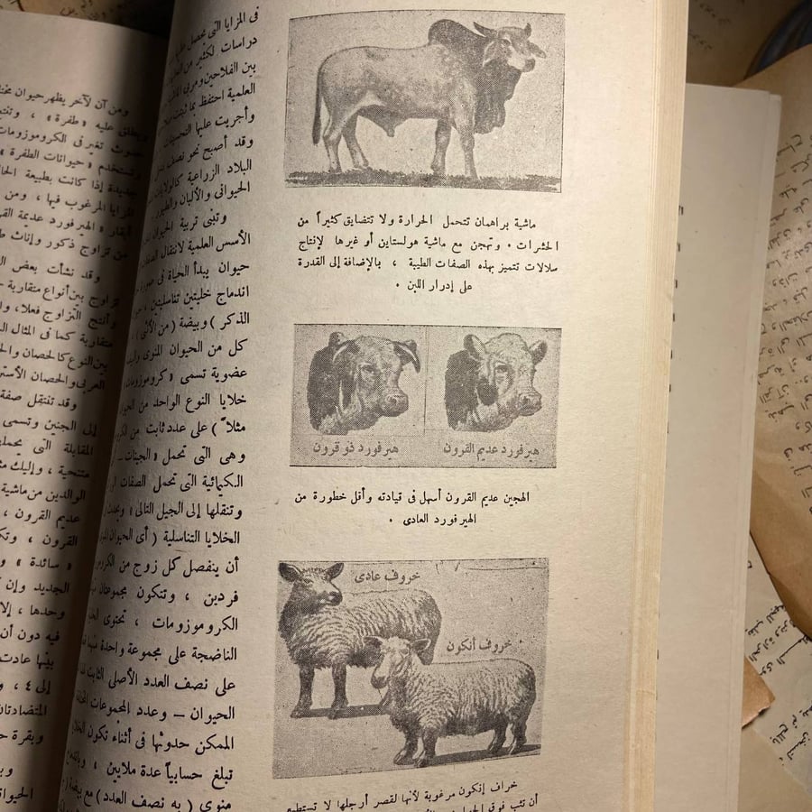 الموسوعة الذهبية (من حصان الى دولة الامارات العربية المتحدة )-O5