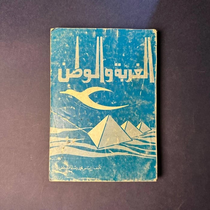 الغربة والوطن - إيناس محمد -