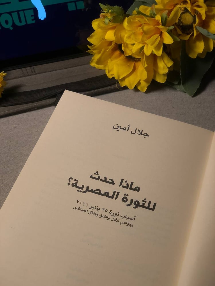 قراءة كتاب ماذا حدث للثورة المصرية تحليل سياسي عميق