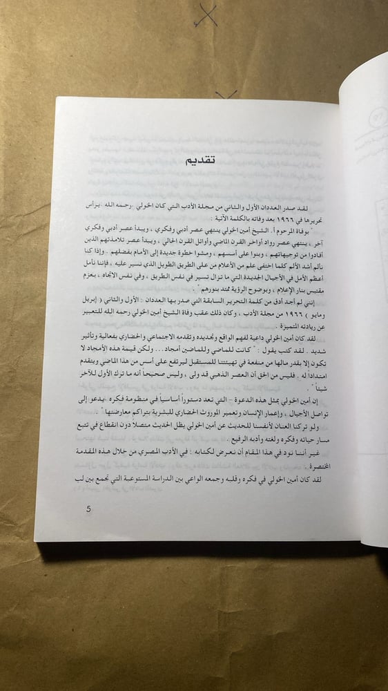 في الادب المصري _ امين الخولي