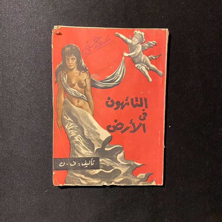 التائهون فى الأرض - ف.ن